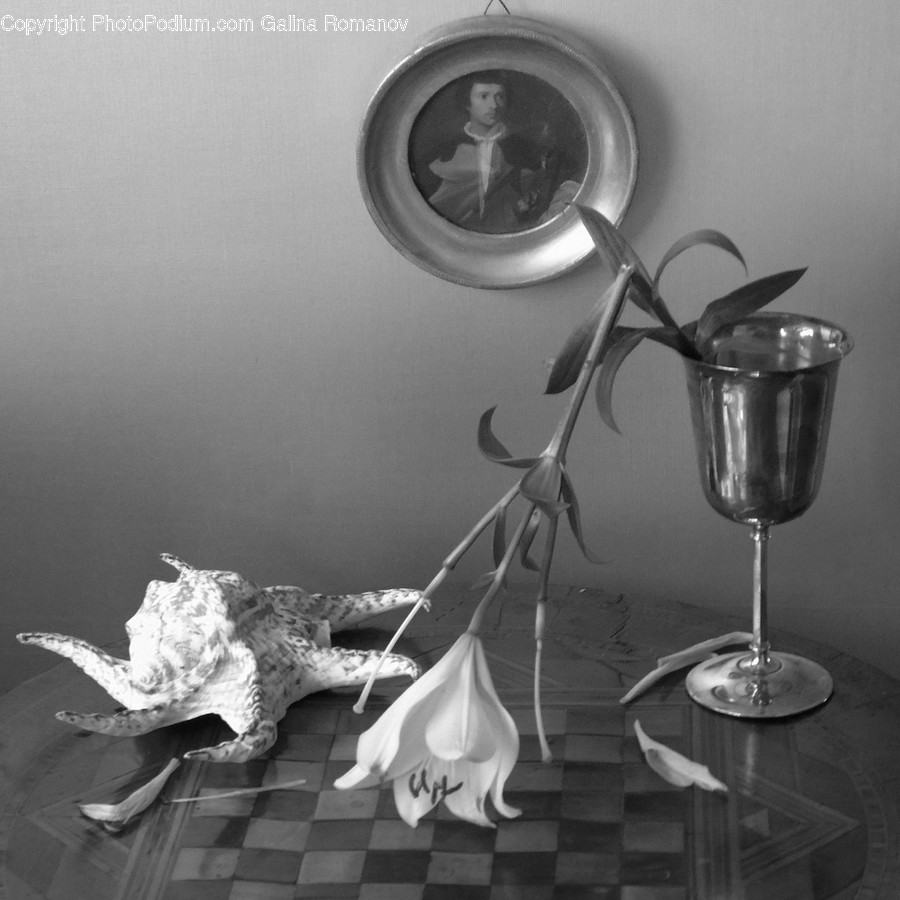 Glass, Goblet, Lamp, Animal, Sea Life