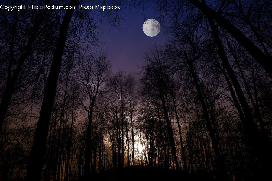 Nature, Outdoors, Night, Space, Universe