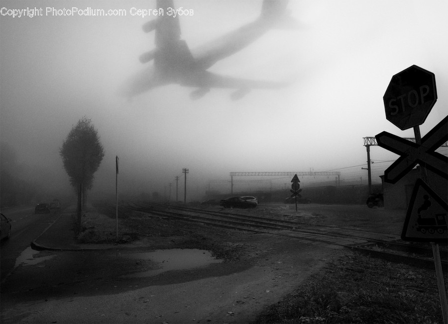 Nature, Weather, Fog, Outdoors, Vehicle