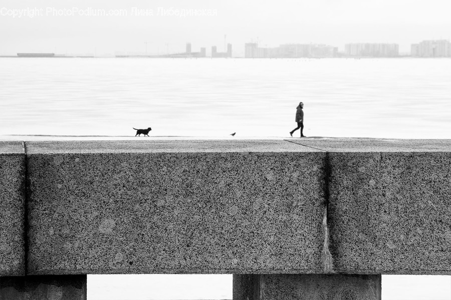 Person, Human, Bird, Animal, Rug