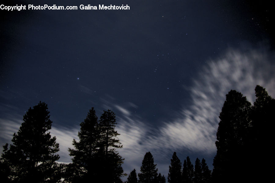 Silhouette, Night, Outdoors, Starry Sky, Universe, Astronomy, Moon