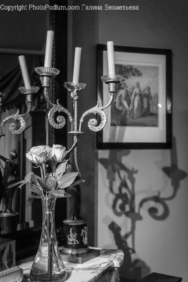 Plant, Human, Person, Blossom, Flower