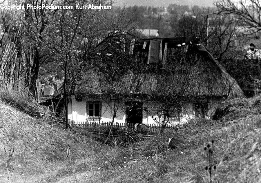 Building, Cottage, Housing, Tomb, Bunker, Forest, Vegetation