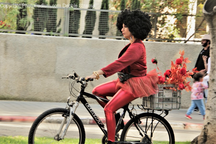 Bike, Transportation, Vehicle, Bicycle, Wheel