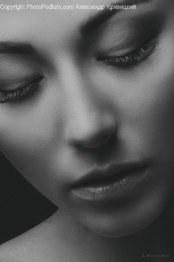 Face, Person, Human, Head, Portrait