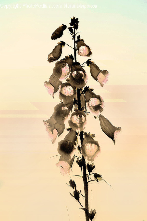 Animal, Bird, Plant, Tree, Ornament