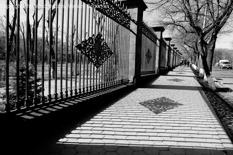 Path, Railing, Pavement, Sidewalk, Person