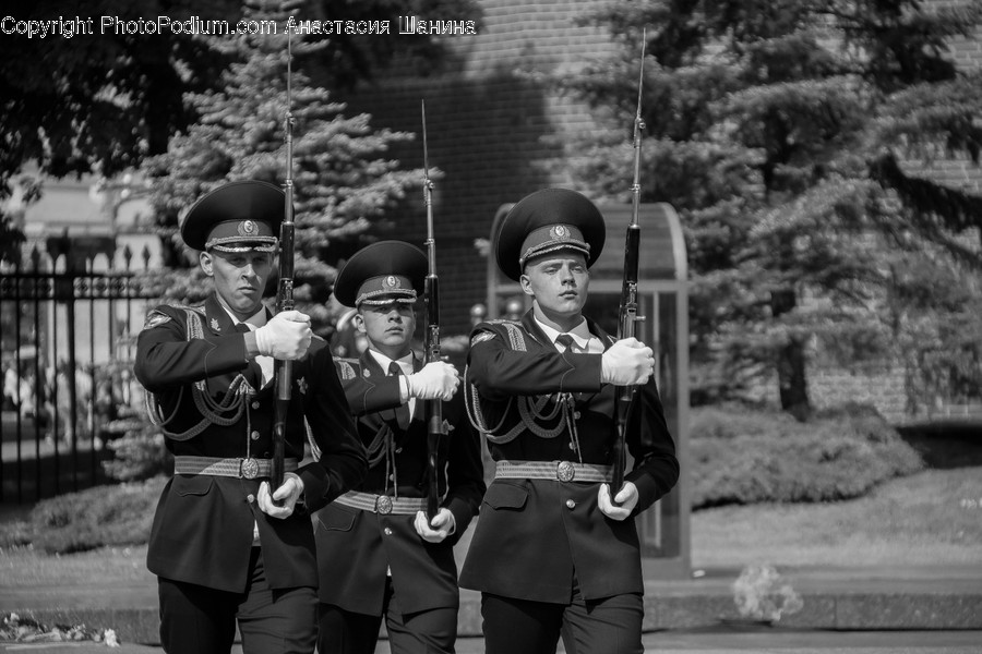 Person, Human, Military, Military Uniform, Officer