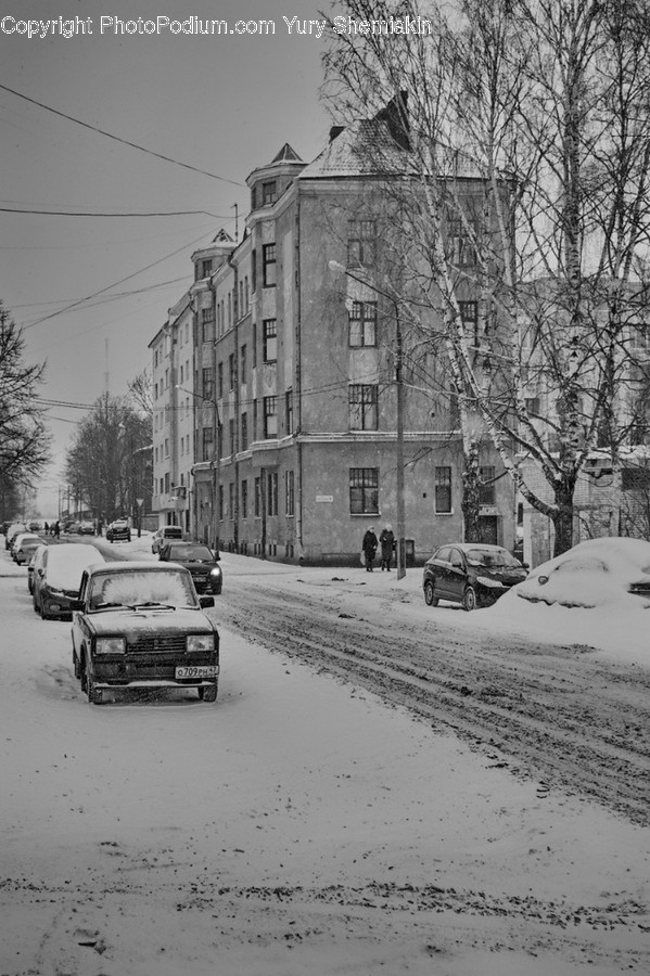 Nature, Vehicle, Transportation, Car, Automobile