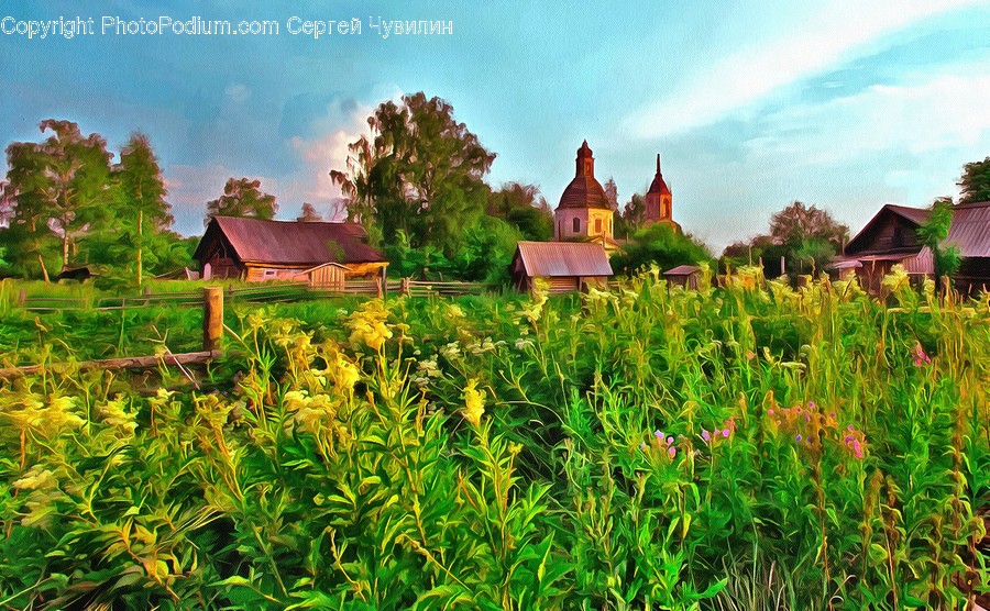 Building, Outdoors, Nature, Housing, Countryside
