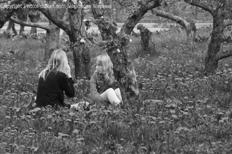 Plant, Tree, Vegetation, Oak, Human
