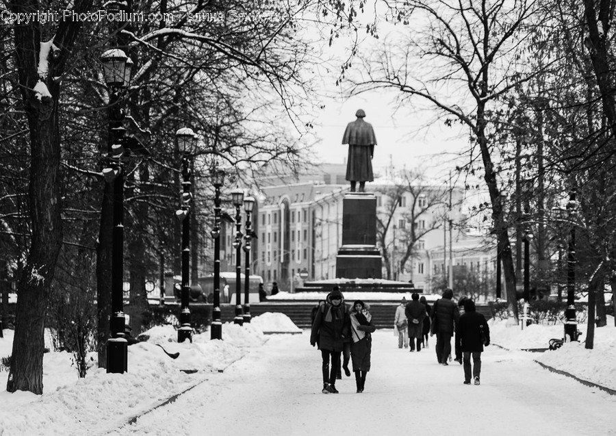 Person, Human, Pedestrian, Building, City