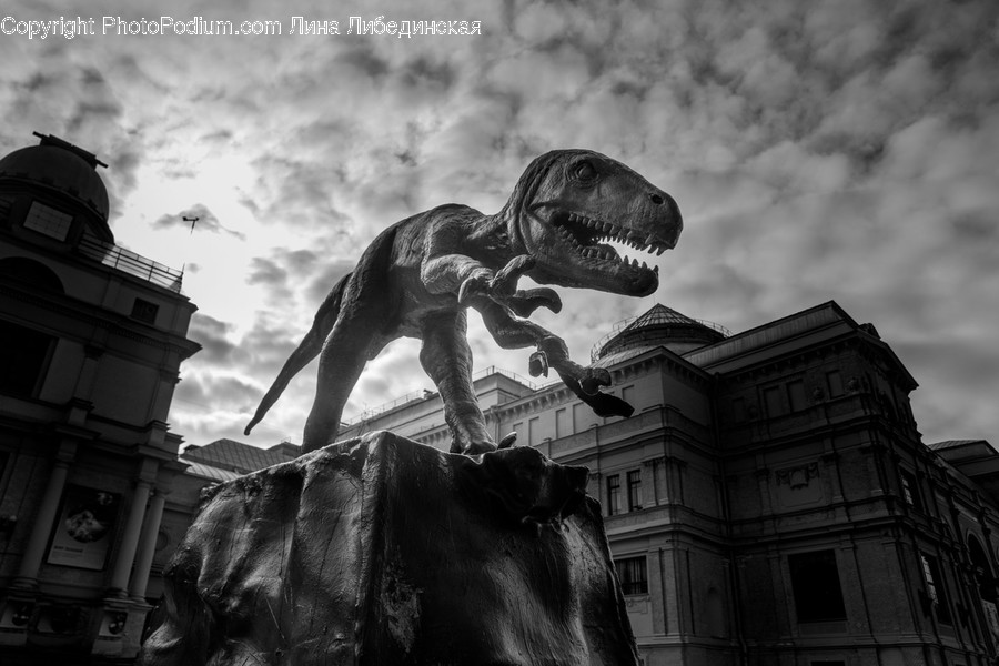 Reptile, Dinosaur, Animal, Mammal, Cow