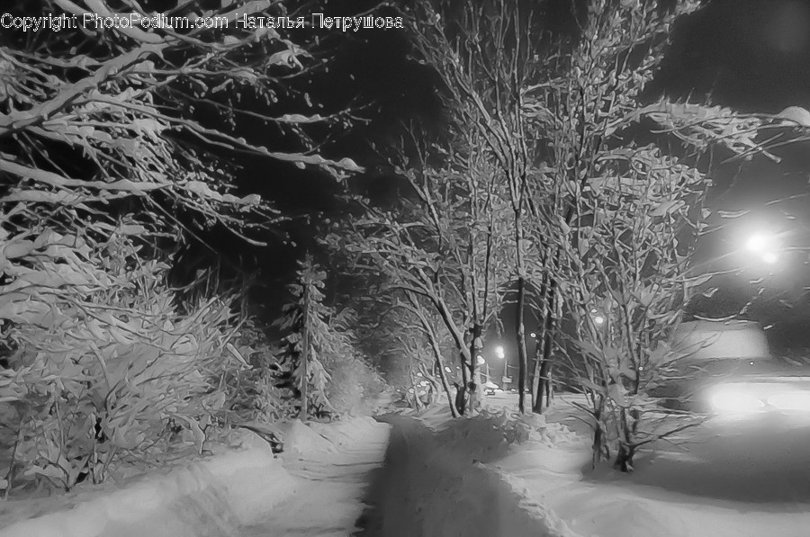Nature, Outdoors, Winter, Storm, Blizzard