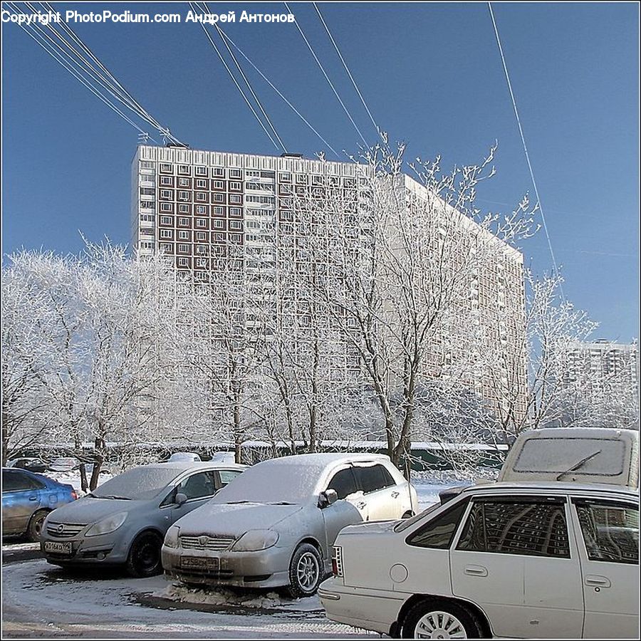 Automobile, Car, Vehicle, Parking, Parking Lot, Van, Sedan