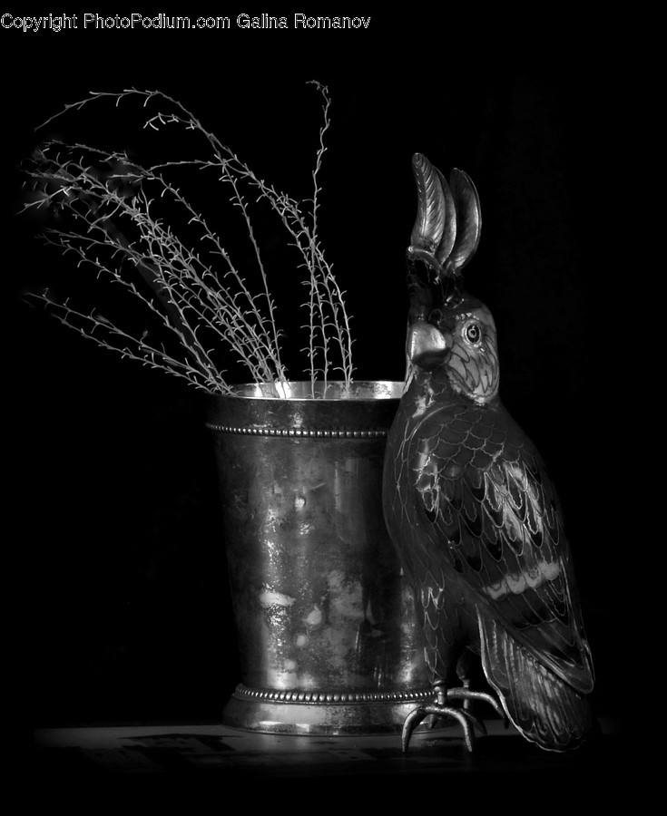 Animal, Bird, Plant, Furniture, Glass