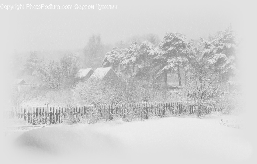 Nature, Outdoors, Snow, Winter, Blizzard