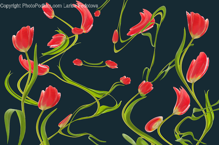 Art, Graphics, Pattern, Floral Design, Modern Art