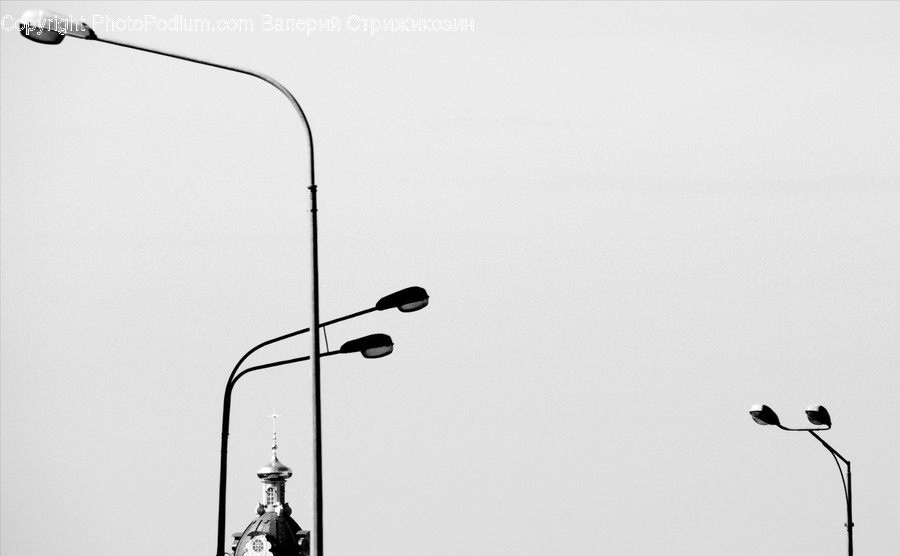 Lamp Post, Bird, Animal, Lamp, Building