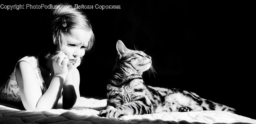 Person, Human, Animal, Cat, Pet