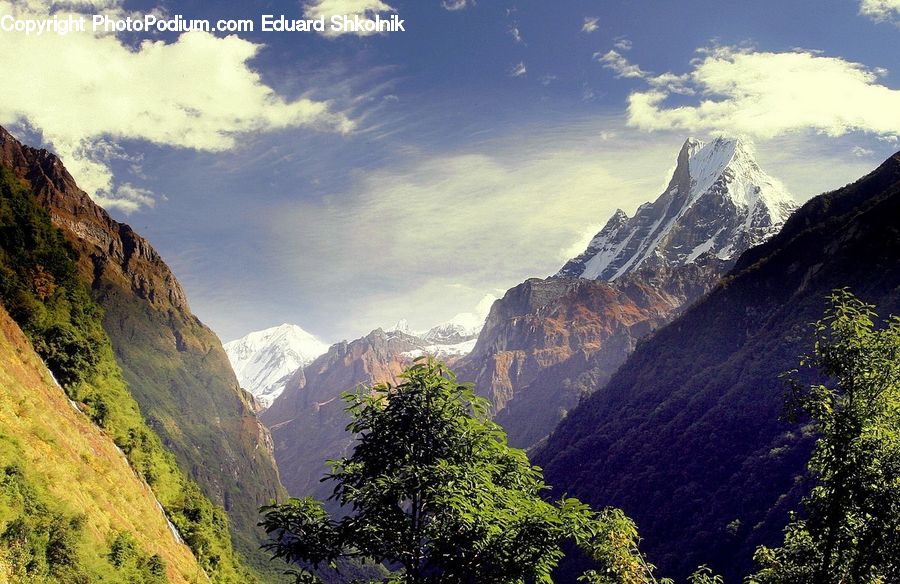 Forest, Jungle, Rainforest, Vegetation, Alps, Crest, Mountain