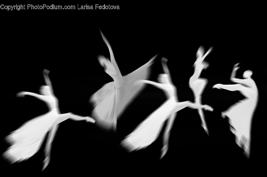 Bird, Animal, Leisure Activities, Dance Pose, Dance