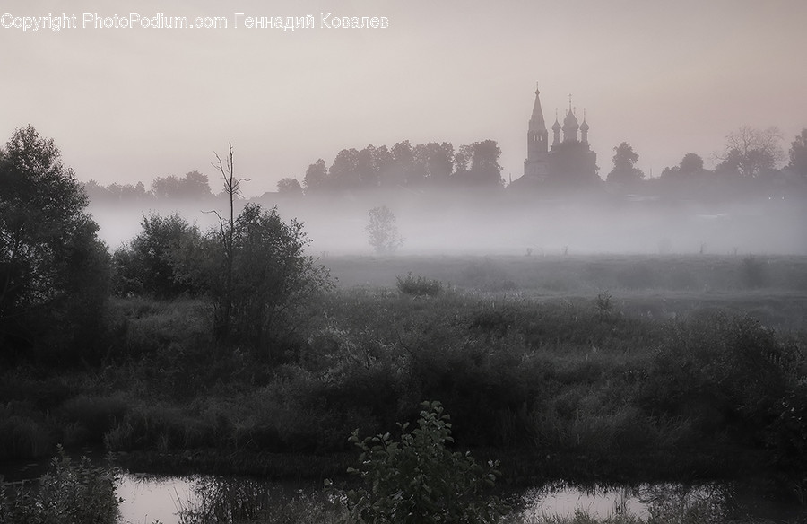 Nature, Weather, Outdoors, Fog, Mist
