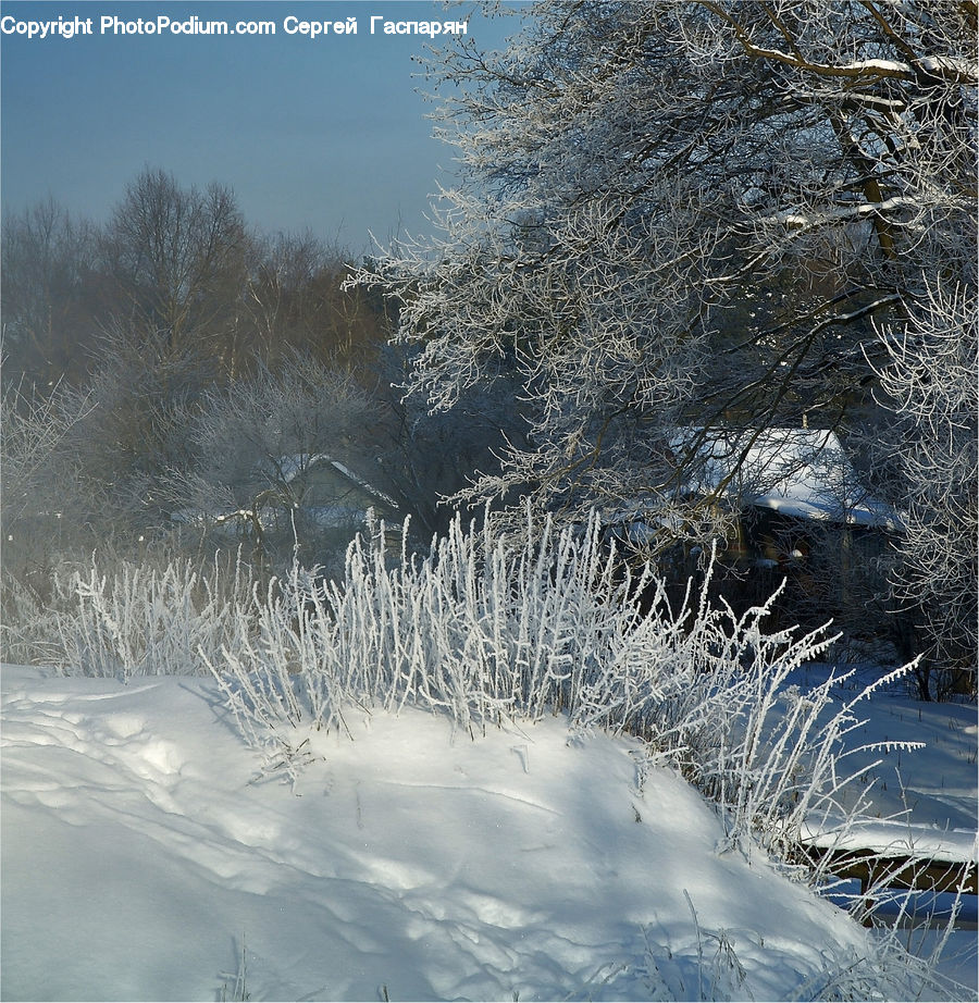 Frost, Ice, Outdoors, Snow, Landscape, Nature, Scenery