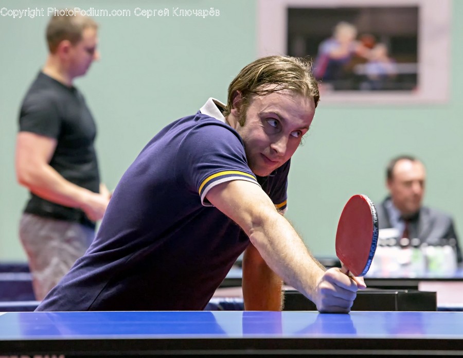 Human, Person, Sport, Sports, Ping Pong
