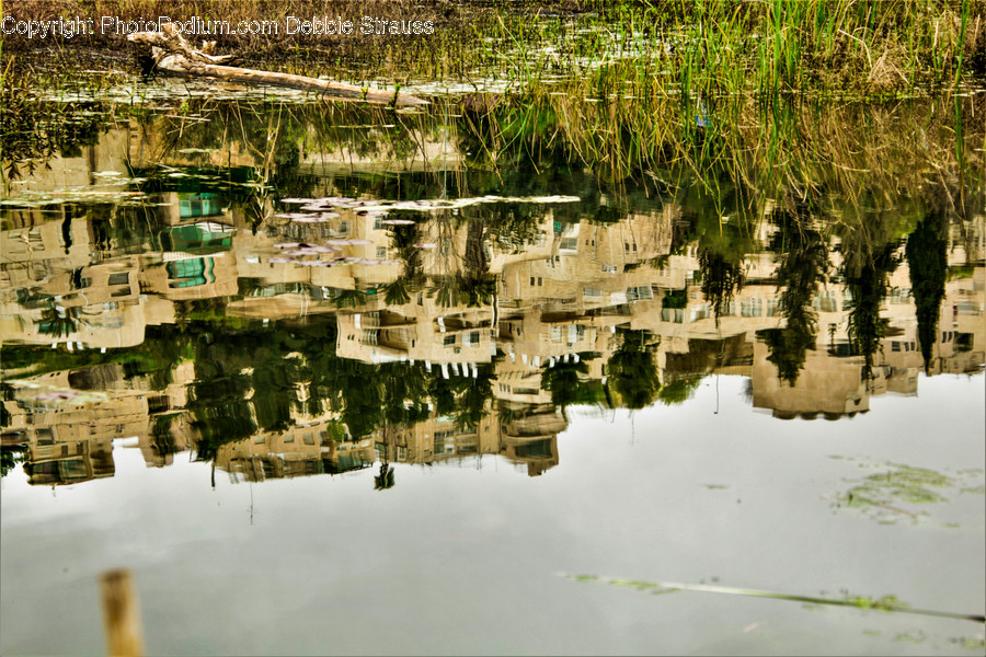 Land, Outdoors, Nature, Water, Pond