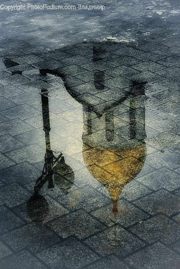 Glass, Bird, Animal, Puddle, Goblet