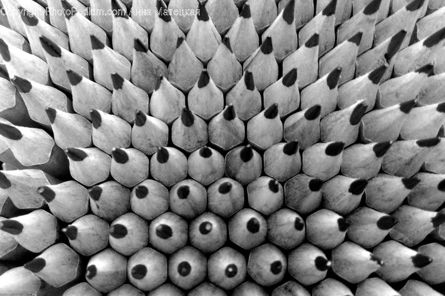 Texture, Pattern