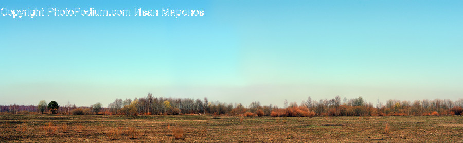 Nature, Ground, Outdoors, Land, Grassland
