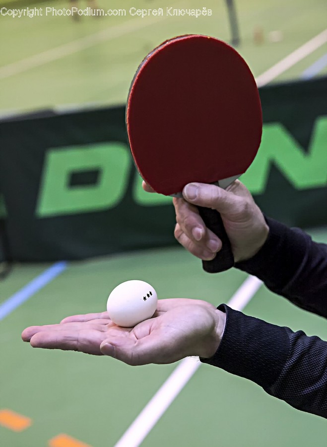 Person, Human, Ping Pong, Sports, Sport