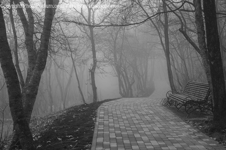Bench, Furniture, Nature, Weather, Outdoors