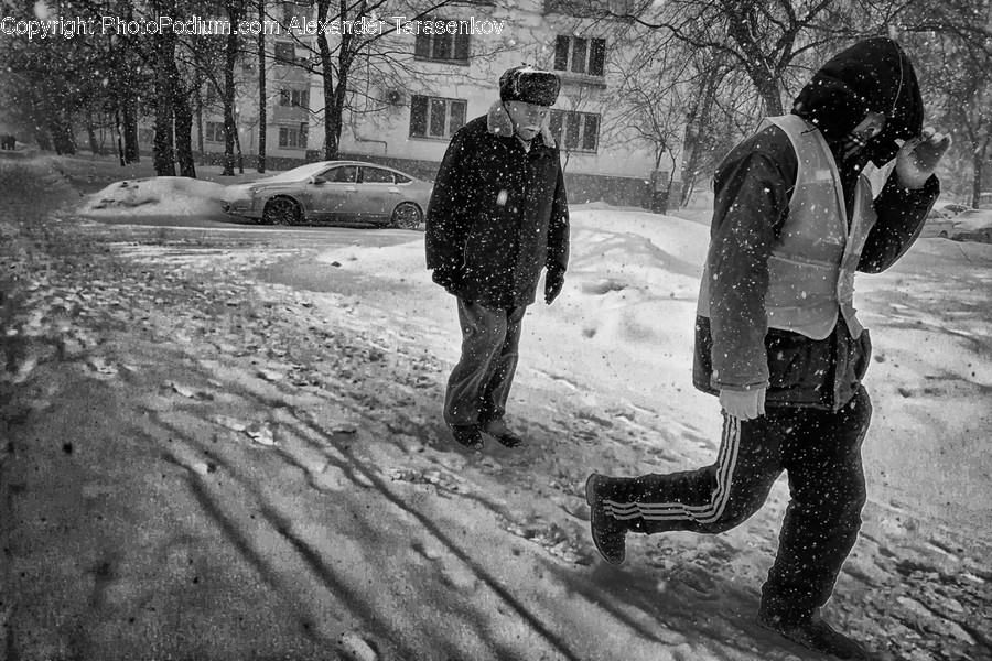 Storm, Snow, Outdoors, Nature, Blizzard
