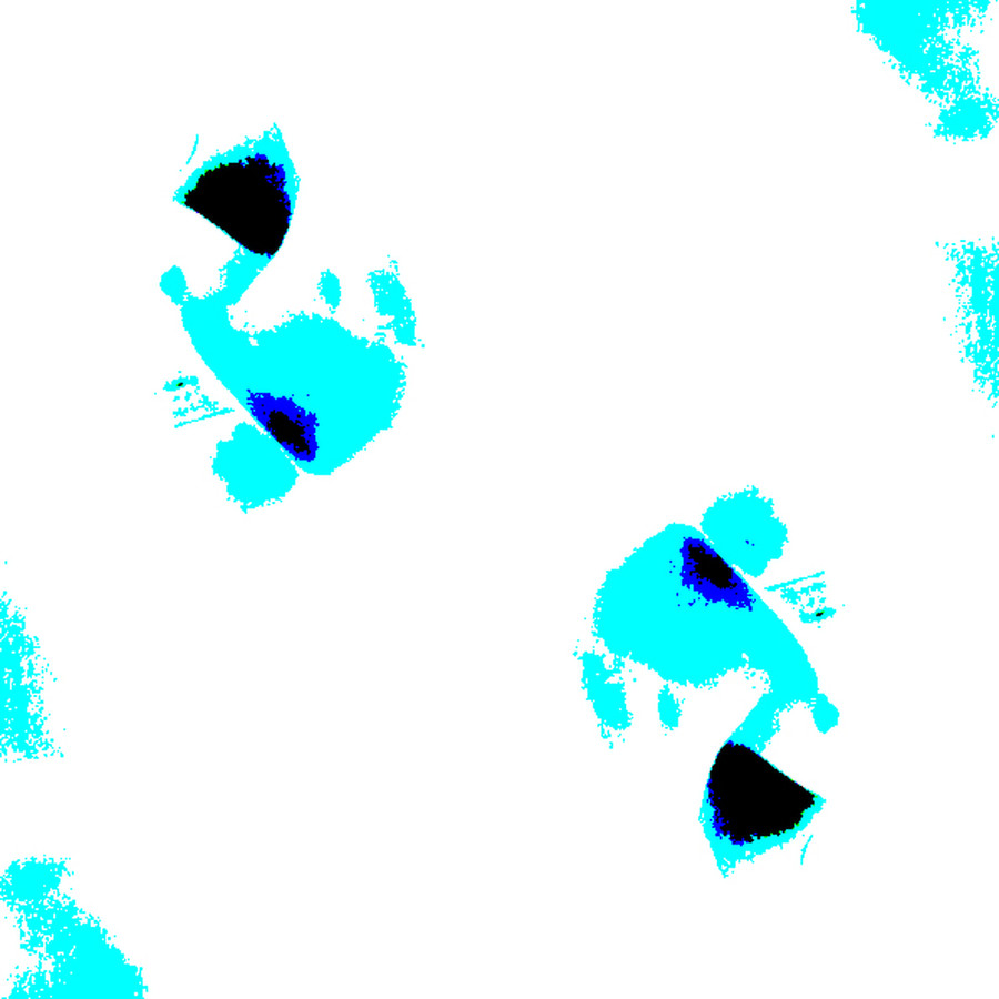 Human, Person, Stain, Footprint