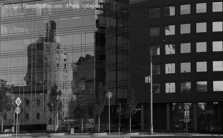Building, Office Building, Urban, Road, Town
