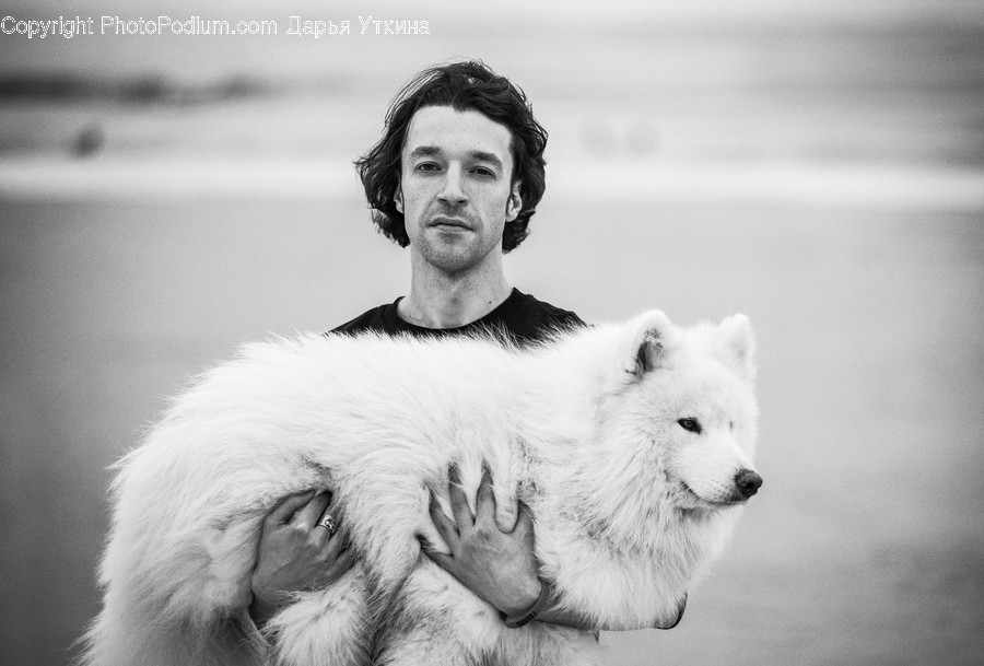 Mammal, Animal, Human, Person, Canine