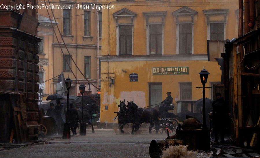 Person, Human, Wagon, Transportation, Horse Cart