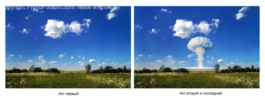 Nature, Outdoors, Advertisement, Poster, Collage