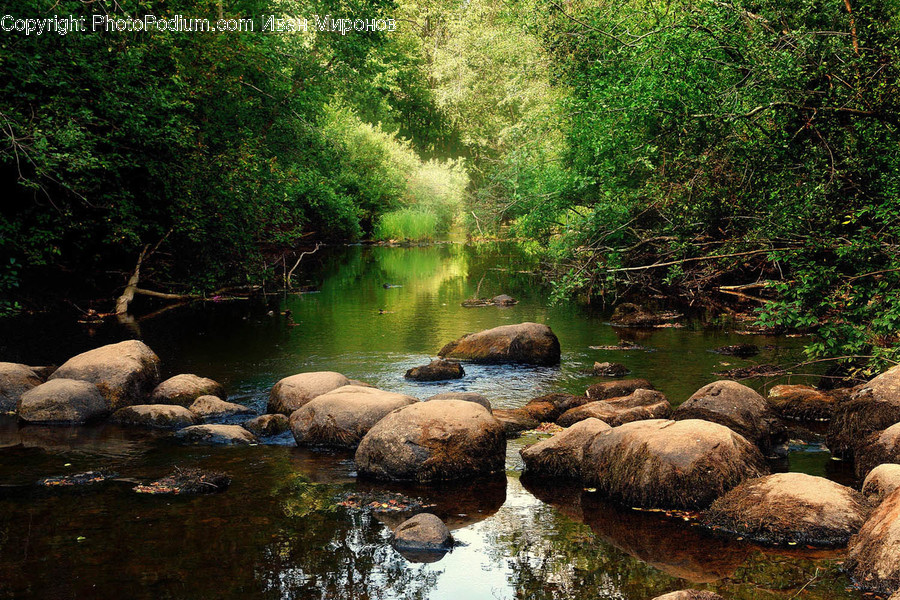 Water, Nature, Outdoors, Stream, Creek