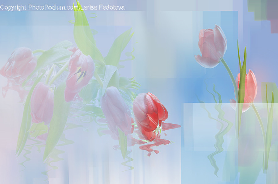 Art, Graphics, Pattern, Floral Design, Plant