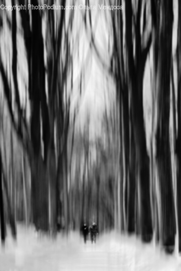 Wood, Plant, Person, Human, Furniture