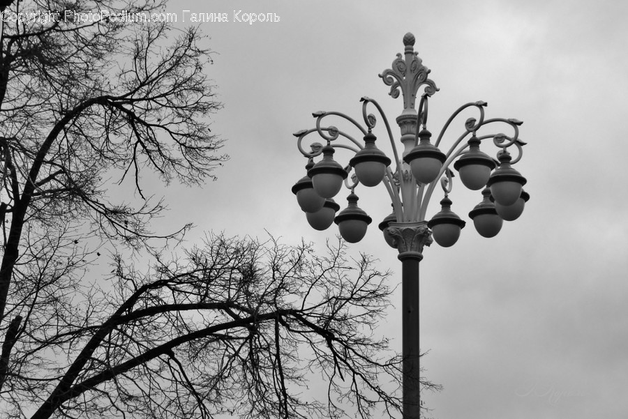 Lamp Post, Lamp