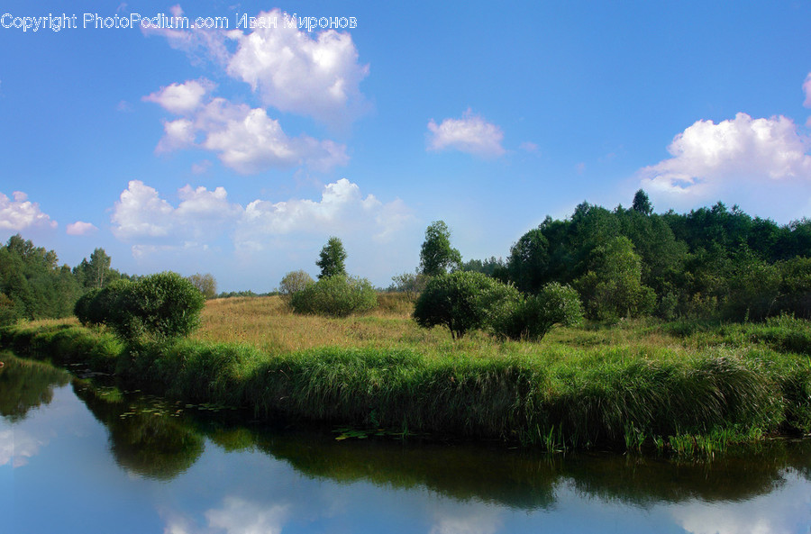 Water, Nature, Outdoors, Land, Ditch