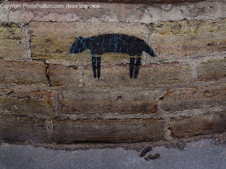 Wood, Animal, Mammal, Wall, Slate