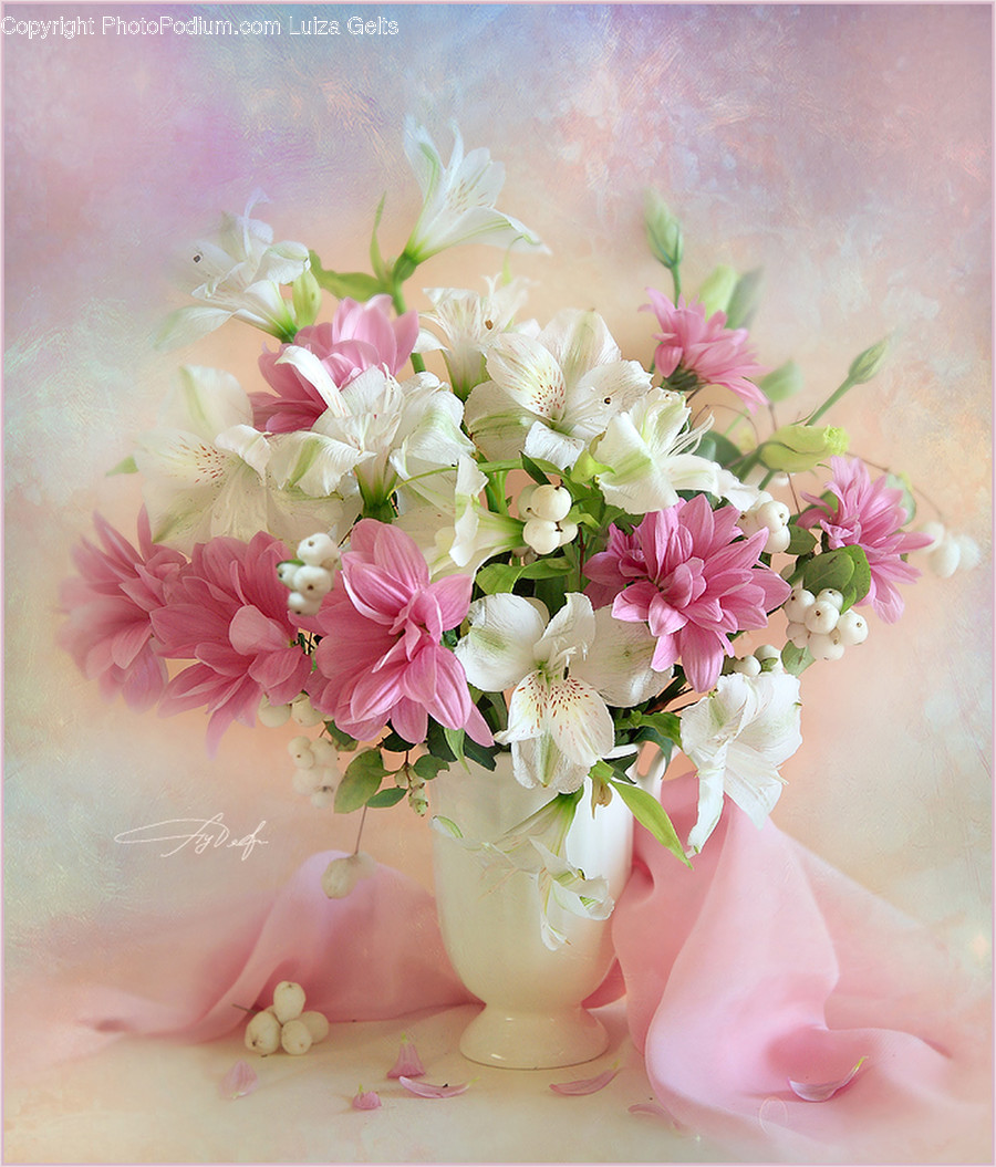 Plant, Flower, Blossom, Flower Bouquet, Flower Arrangement