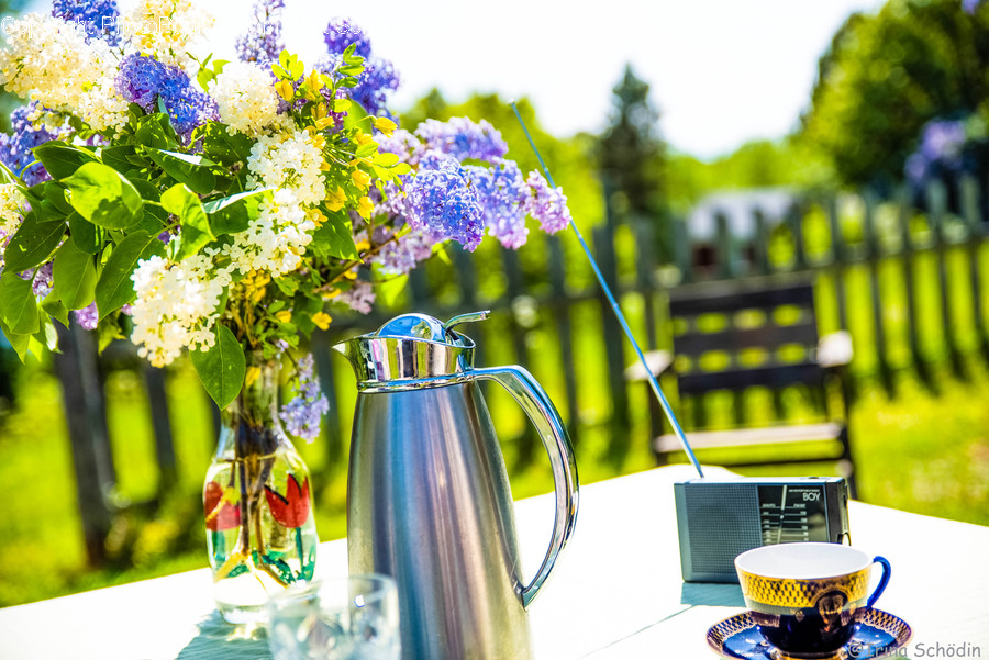 Plant, Blossom, Flower, Flower Arrangement, Flower Bouquet
