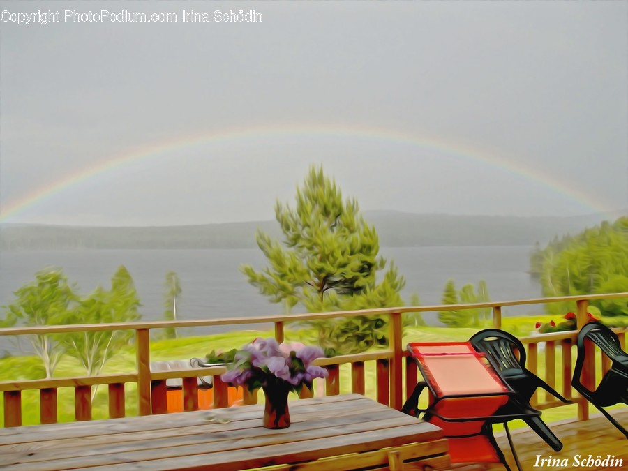 Wood, Outdoors, Furniture, Chair, Plant